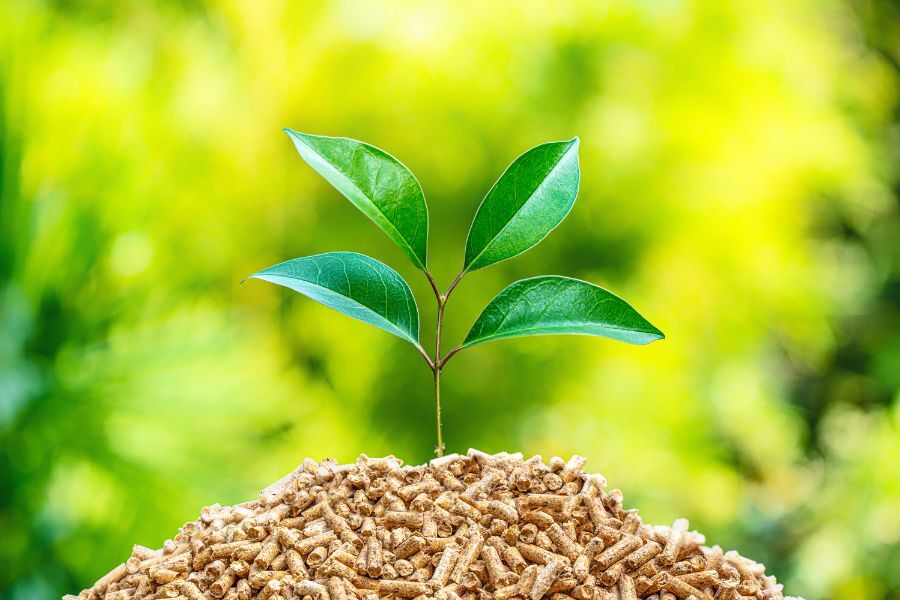 Origen y procedencia de la biomasa