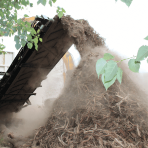 biomasa reduccion huella carbono