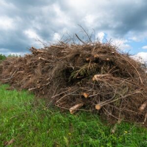 mitos y realidades sobre la biomasa